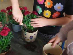 50103900711671281618817976022959406235176241n